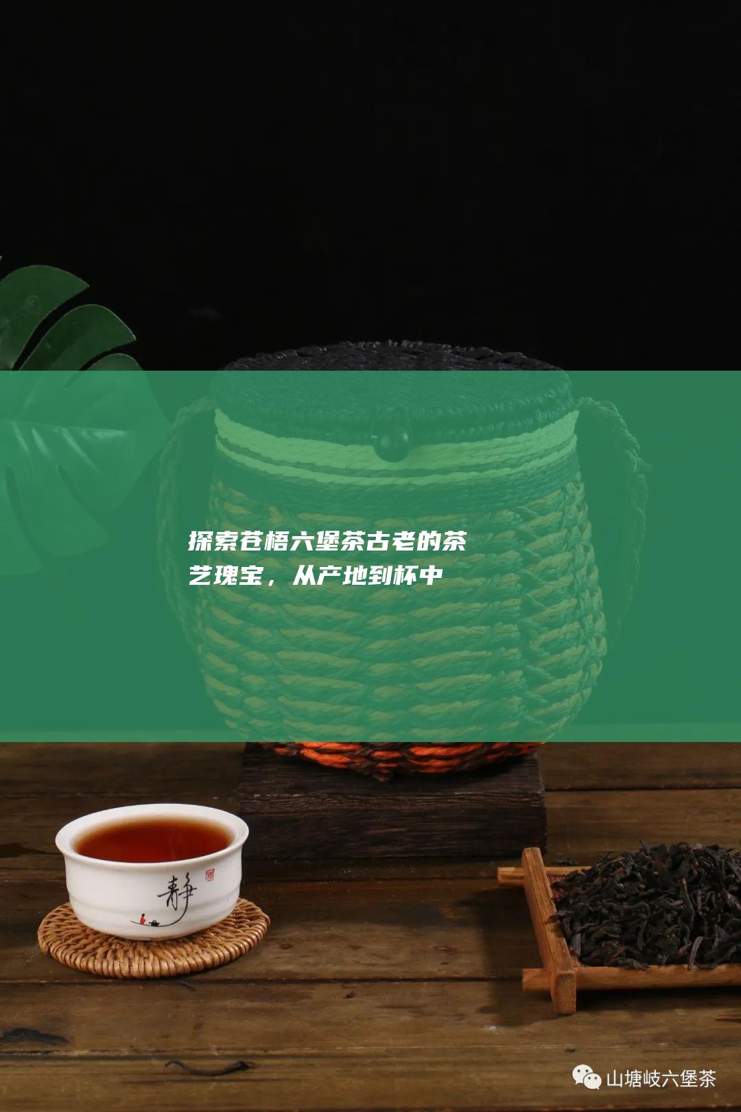 探索苍梧六堡茶：古老的茶艺瑰宝，从产地到杯中