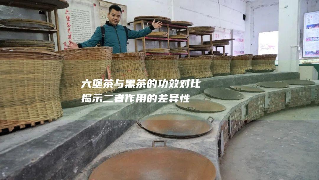 六堡茶与黑茶的功效对比：揭示二者作用的差异性