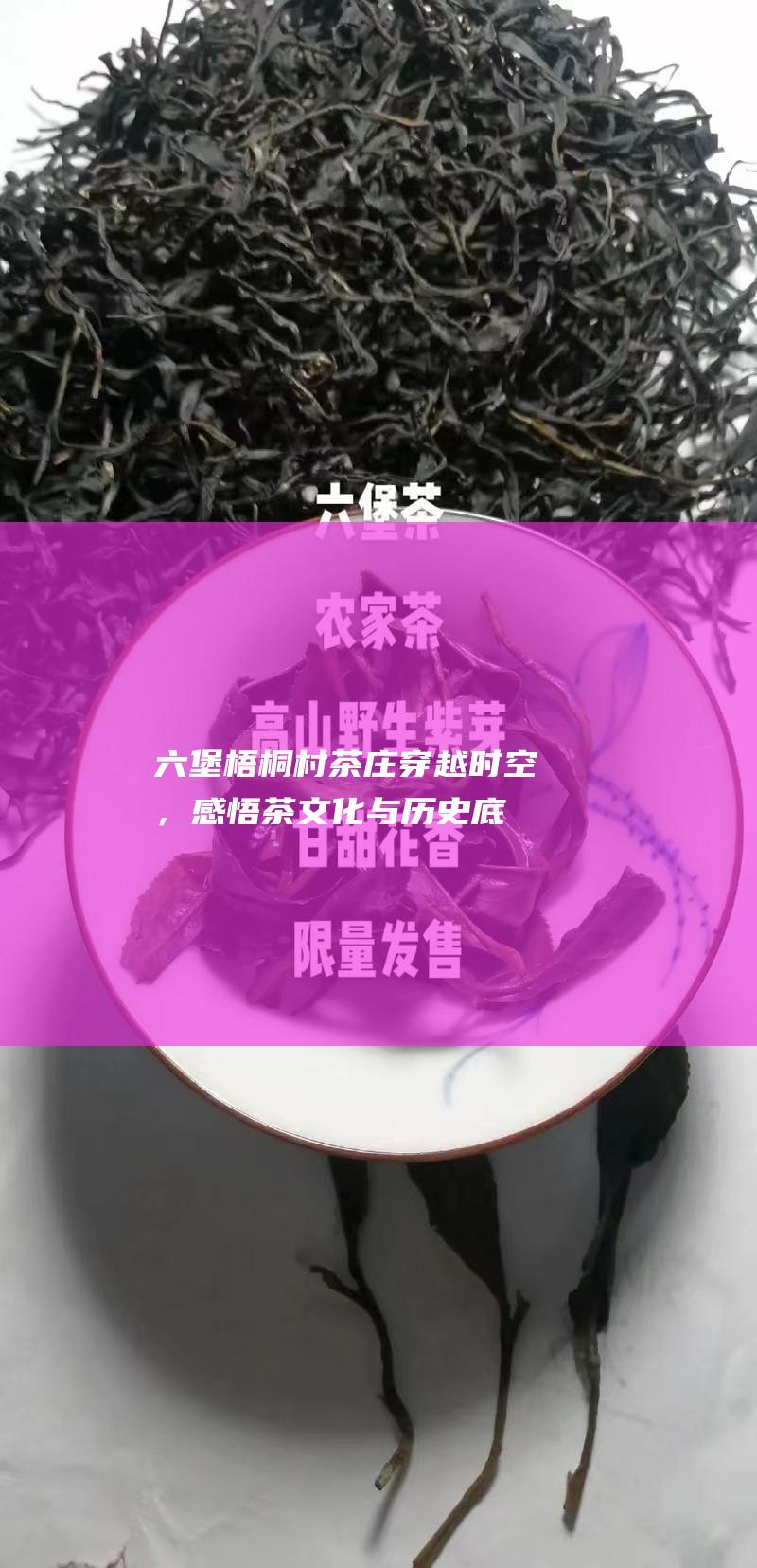 六堡梧桐村茶庄：穿越时空，感悟茶文化与历史底蕴