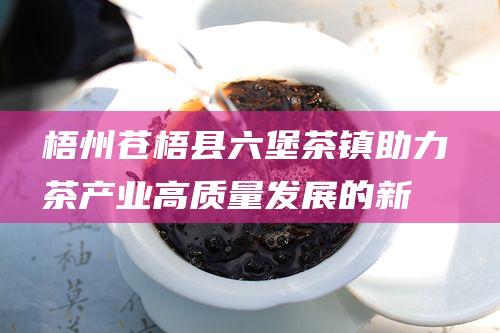 梧州苍梧县六堡茶镇：助力茶产业高质量发展的新地标