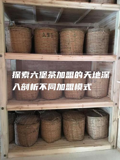 探索六堡茶加盟的天地：深入剖析不同加盟模式