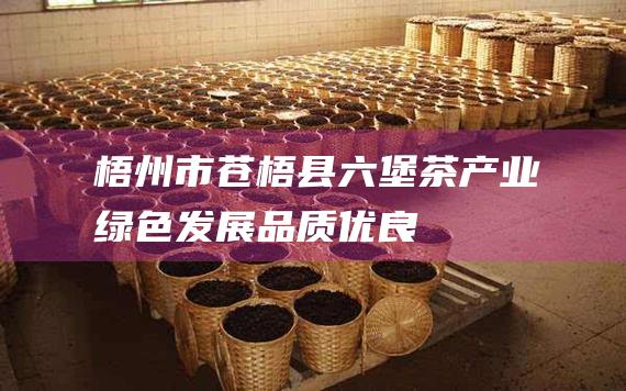 梧州市苍梧县六堡茶产业：绿色发展、品质优良、市场广阔