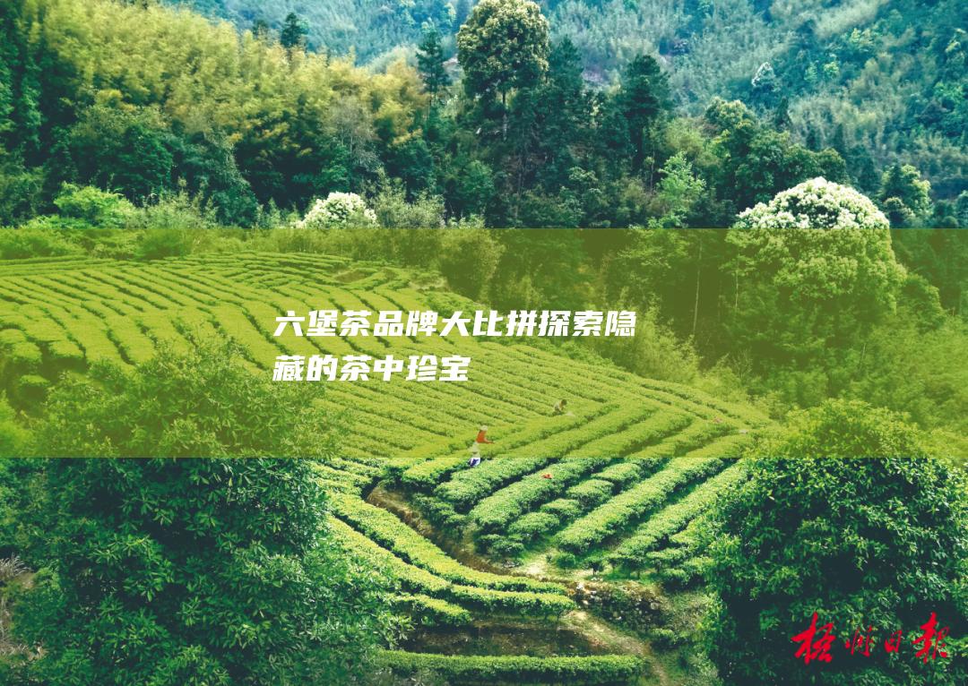 六堡茶品牌大比拼：探索隐藏的茶中珍宝