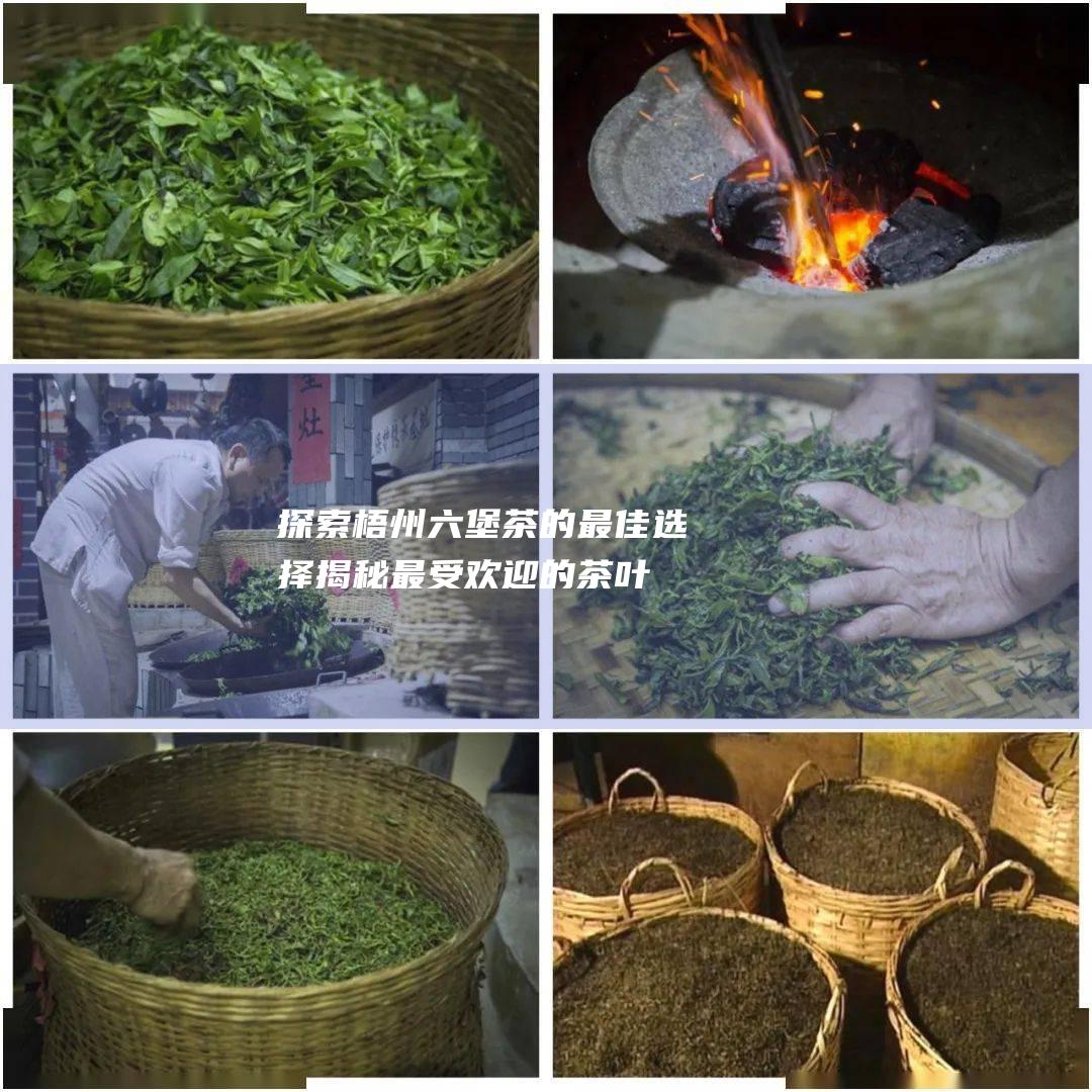 探索梧州六堡茶的最佳选择：揭秘最受欢迎的茶叶厂家