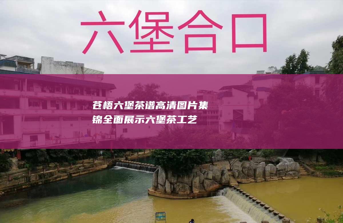 苍梧六堡茶谱高清图片集锦：全面展示六堡茶工艺流程