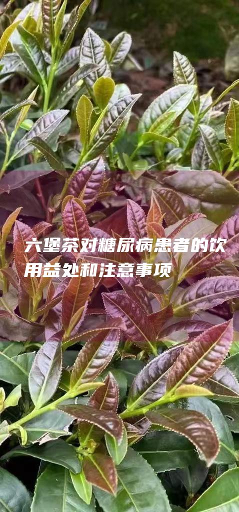 六堡茶对糖尿病患者的饮用益处和注意事项