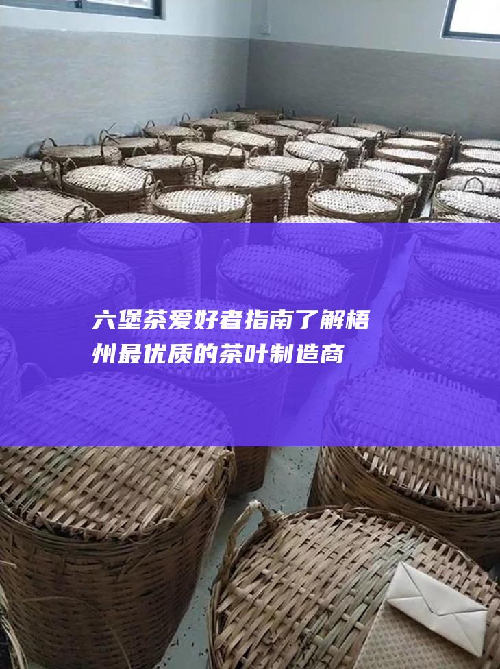 六堡茶爱好者指南：了解梧州最优质的茶叶制造商