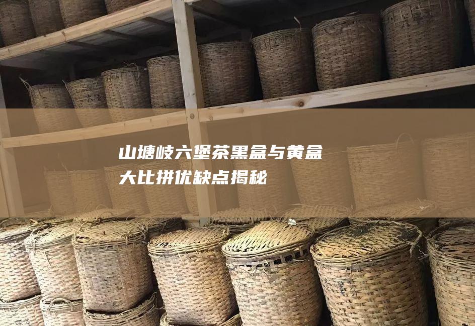 山塘岐六堡茶黑盒与黄盒大比拼：优缺点揭秘