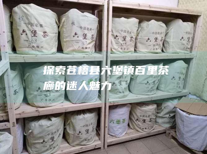 探索苍梧县六堡镇百里茶廊的迷人魅力