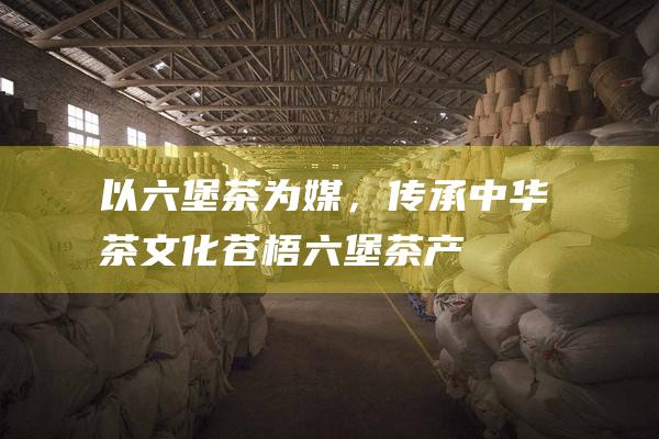 以六堡茶为媒，传承中华茶文化 —— 苍梧六堡茶产业发展有限公司