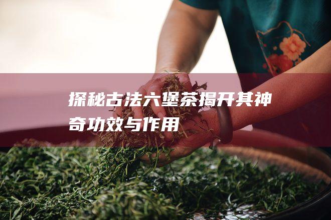 探秘古法六堡茶：揭开其神奇功效与作用