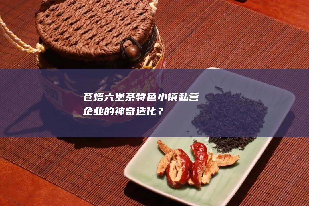 苍梧特色小镇私营企业的神奇造化？