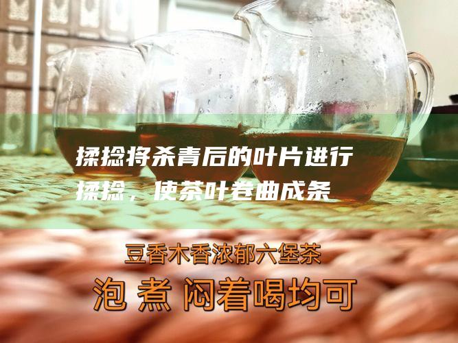 将后的叶片进行，使茶叶卷曲成条