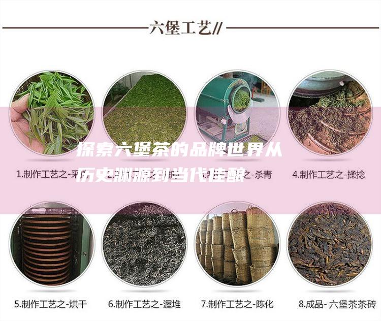 探索茶的品牌世界从历史渊源到当代佳酿