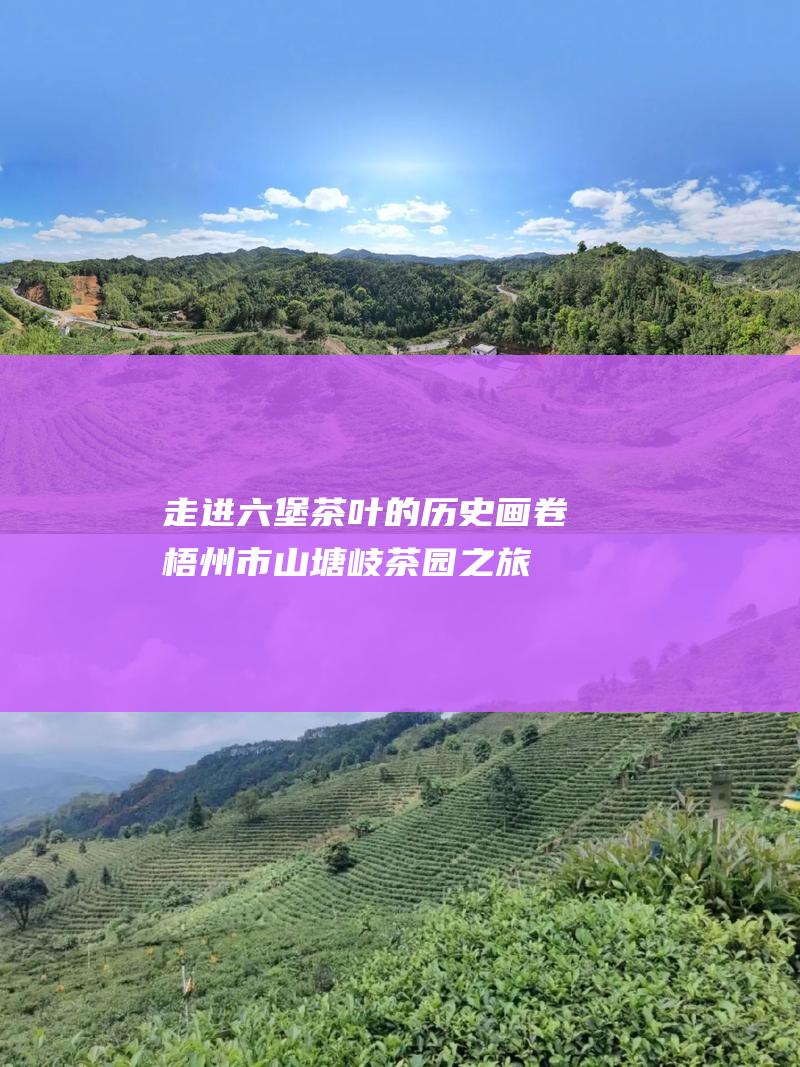 走进六堡茶叶的历史画卷：梧州市山塘岐茶园之旅