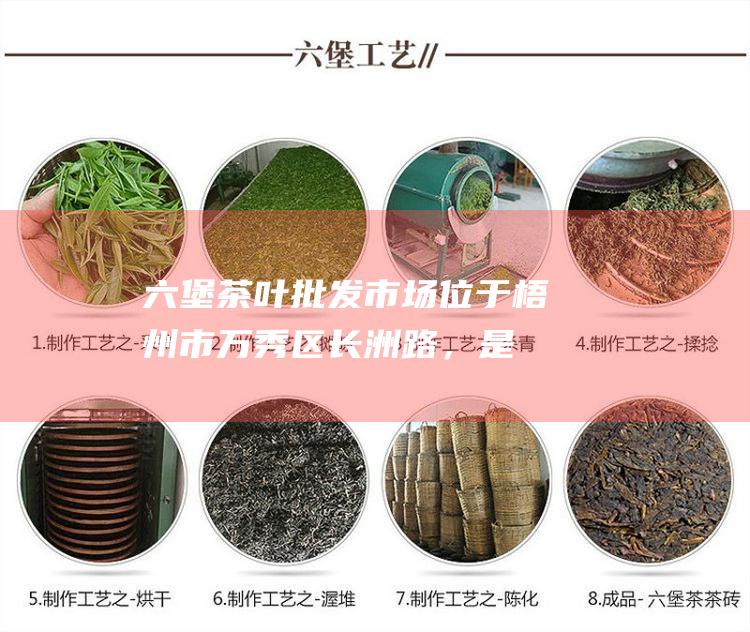 六堡茶叶批发市场：位于梧州市万秀区长洲路，是六堡茶叶最大的批发市场，汇聚了众多六堡茶叶生产商和经销商。