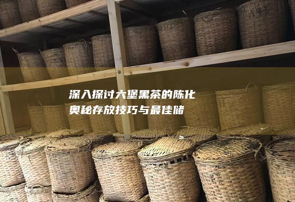 深入探讨六堡黑茶的陈化奥秘：存放技巧与最佳储存时间