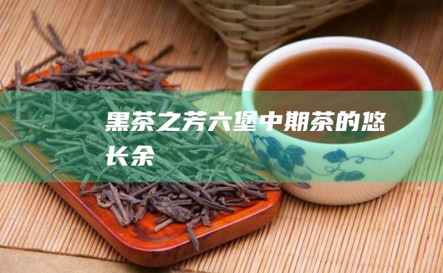 黑茶之芳六堡中期茶的悠长余韻