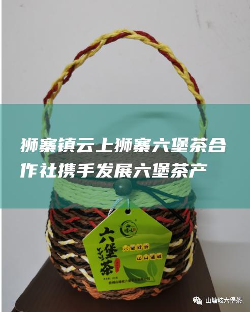 狮寨镇云上狮寨六堡茶合作社：携手发展六堡茶产业，助力乡村振兴