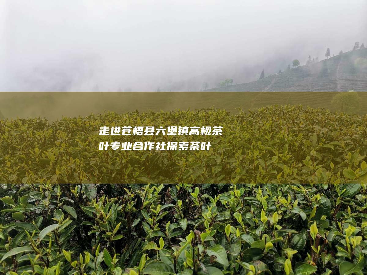 走进苍梧县六堡镇高枧茶叶专业合作社：探索茶叶种植、加工与营销的奥秘