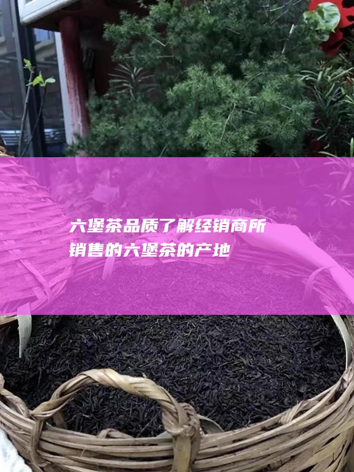 六堡茶品质了解经销商所销售的六堡茶的产地