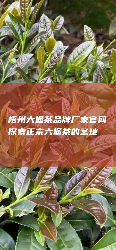 梧州六堡茶品牌厂家官网：探索正宗六堡茶的圣地