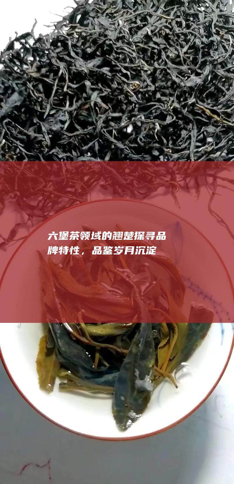 六堡茶领域的翘楚：探寻品牌特性，品鉴岁月沉淀