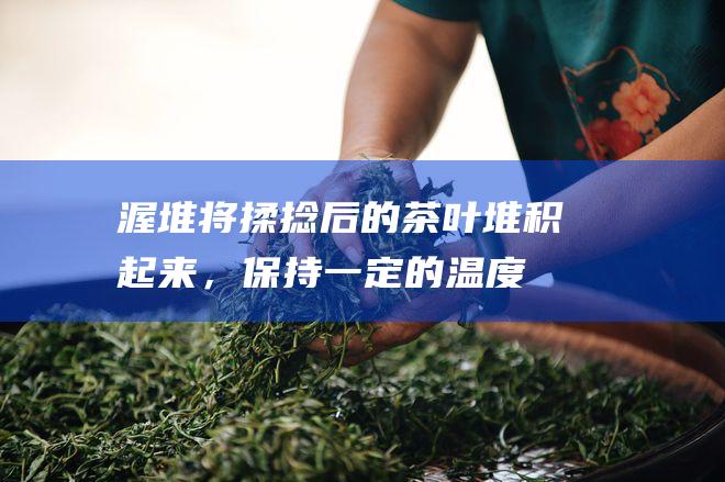 渥堆：将揉捻后的茶叶堆积起来，保持一定的温度和湿度，进行厌氧发酵。