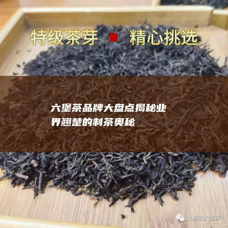 六堡茶品牌大盘点：揭秘业界翘楚的制茶奥秘