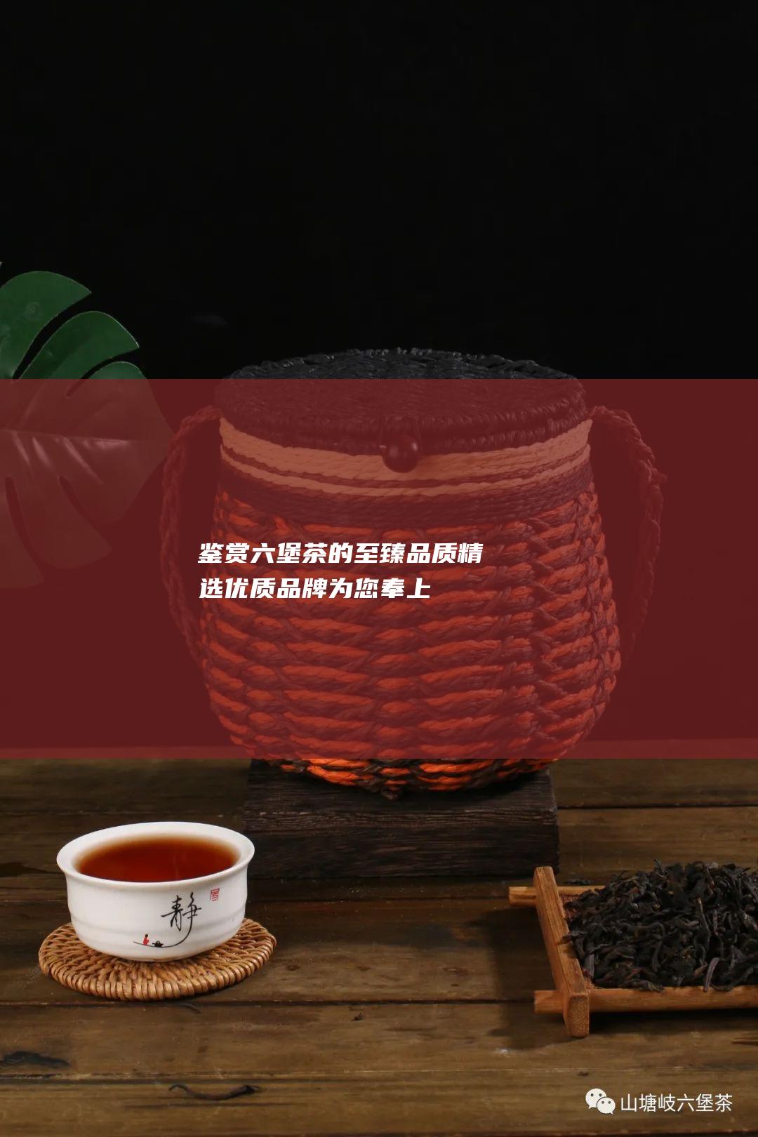 鉴赏茶的至臻品质精选优质品牌为您奉上