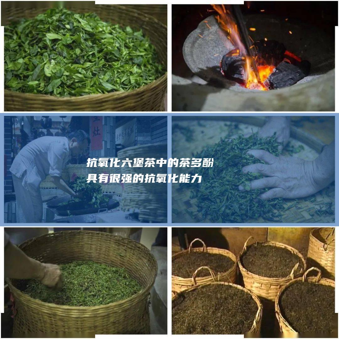 抗氧化：六堡茶中的茶多酚具有很强的抗氧化能力，有助于清除体内的自由基，延缓衰老。