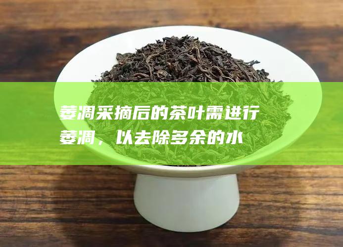 采摘后的茶叶需进行，以去除多余的水