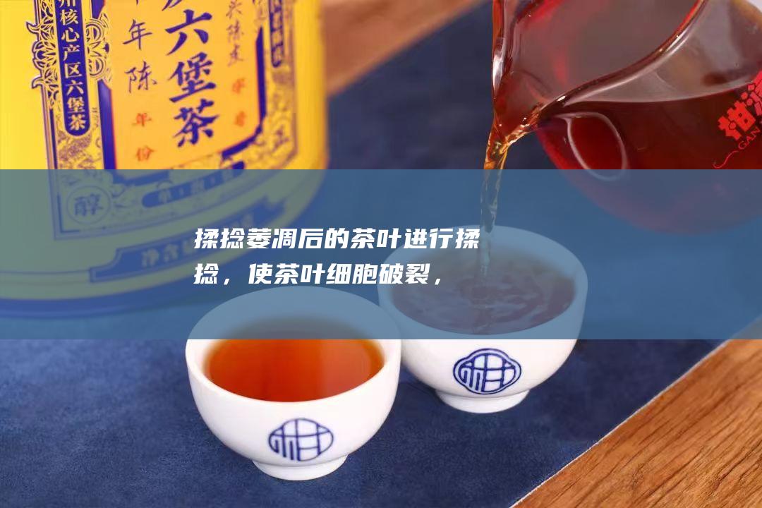 揉捻：萎凋后的茶叶进行揉捻，使茶叶细胞破裂，促进茶叶中的内含物析出。