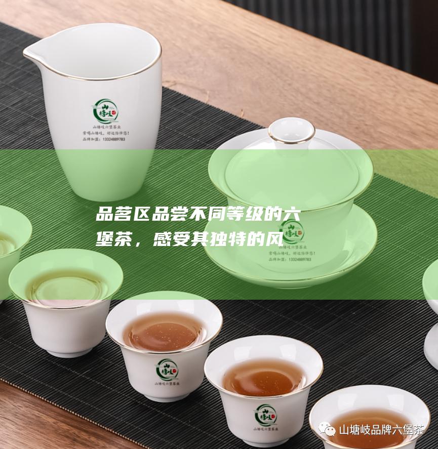 品茗区品尝不同等级的六堡茶，感受其独特的风