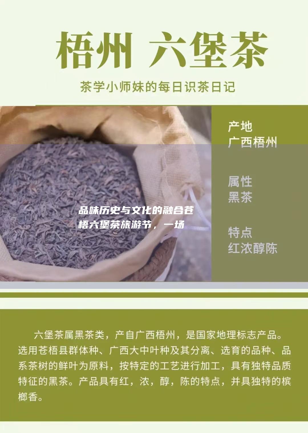 品味历史与文化的融合：苍梧六堡茶旅游节，一场茶香的盛会