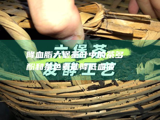 降血脂：六堡茶叶中的茶多酚和茶色素能降低血液中胆固醇和甘油三酯含量。