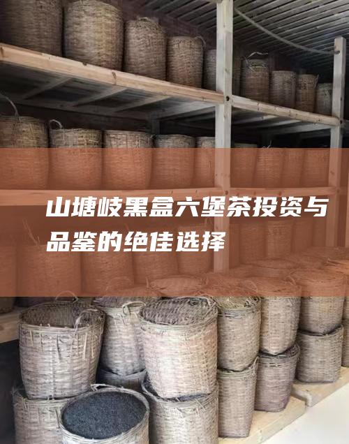 山塘岐黑盒六堡茶投资与的绝佳选择