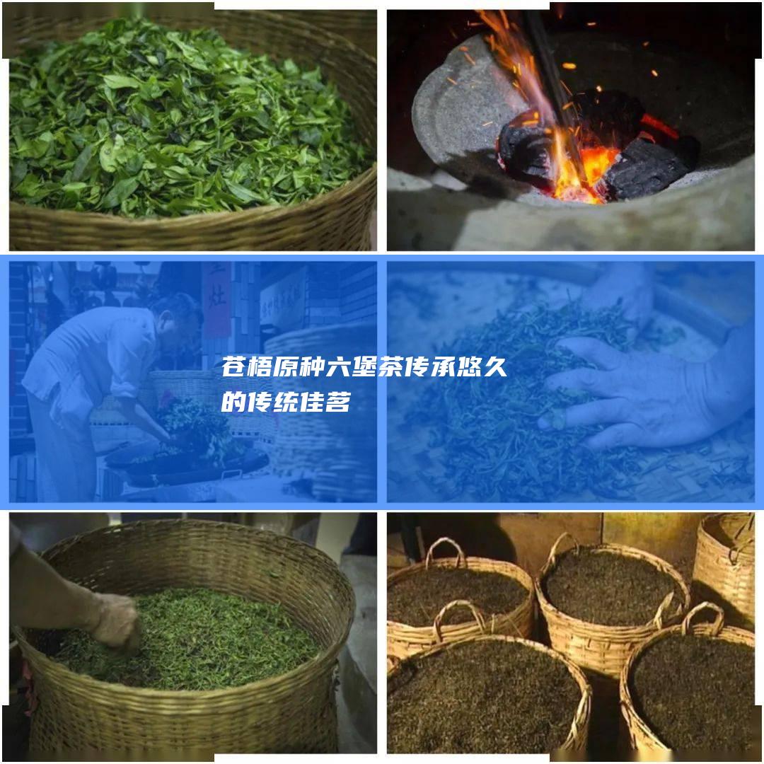 苍梧原种六堡茶：传承悠久的传统佳茗