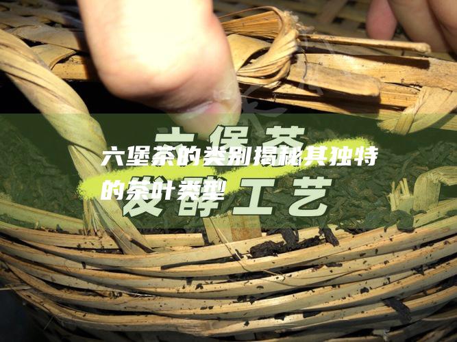 六堡茶的类别：揭秘其独特的茶叶类型