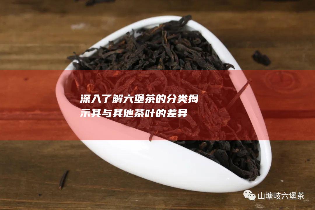 深入了解六堡茶的分类：揭示其与其他茶叶的差异