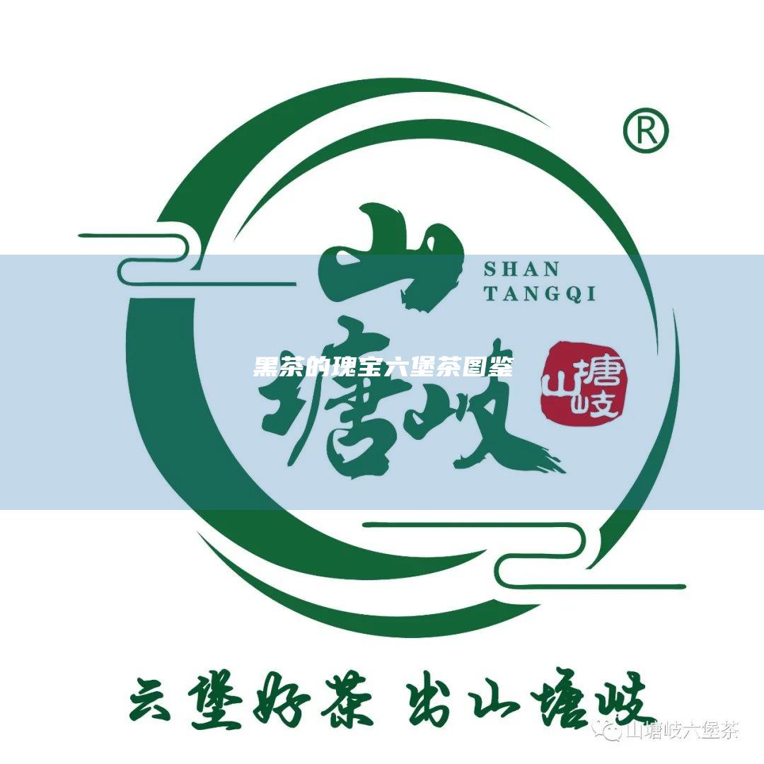 黑茶的瑰宝：六堡茶图鉴