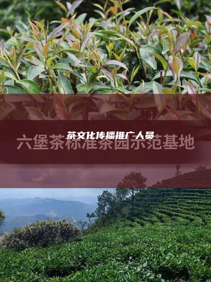 茶传播推广人员