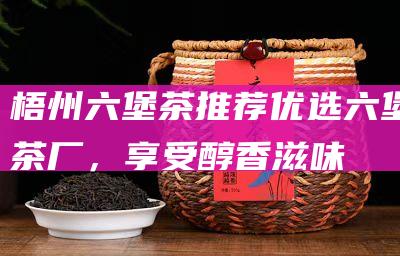 梧州六堡茶推荐：优选六堡茶厂，享受醇香滋味