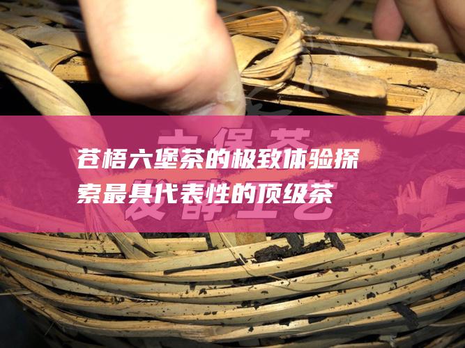 苍梧六堡茶的极致体验：探索最具代表性的顶级茶叶