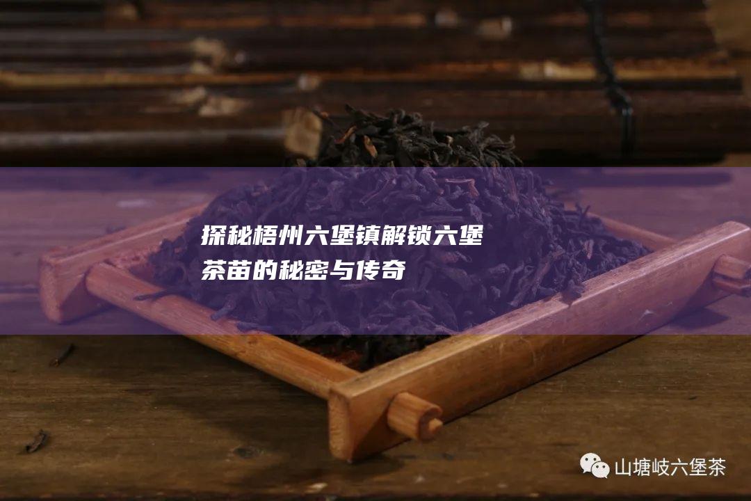 探秘梧州六堡镇：解锁六堡茶苗的秘密与传奇