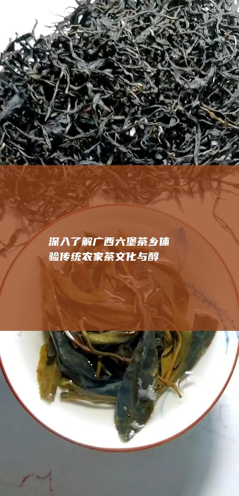 深入了解乡体验传统农家茶文化与醇