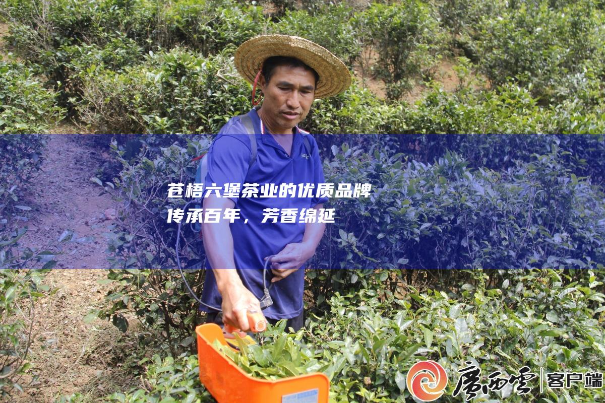 苍梧六堡茶业的优质品牌：传承百年，芳香绵延