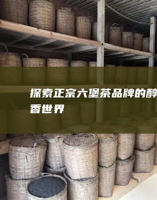 探索正宗六堡茶品牌的醇香世界