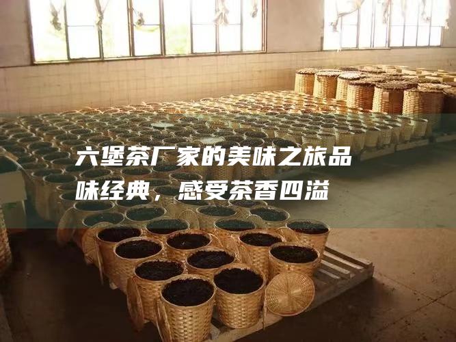 六堡茶厂家的美味之旅：品味经典，感受茶香四溢