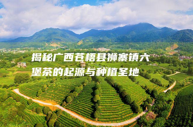 揭秘广西苍梧县狮寨镇：六堡茶的起源与种植圣地